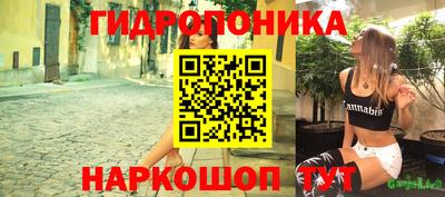 скорость Кингисепп